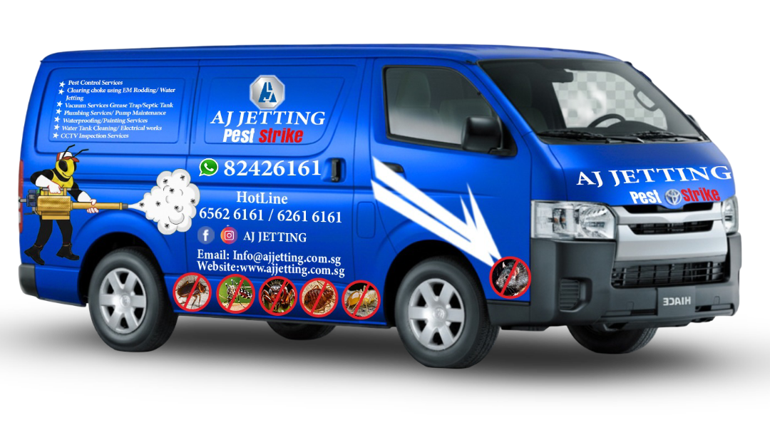 Pest Control Team at Work