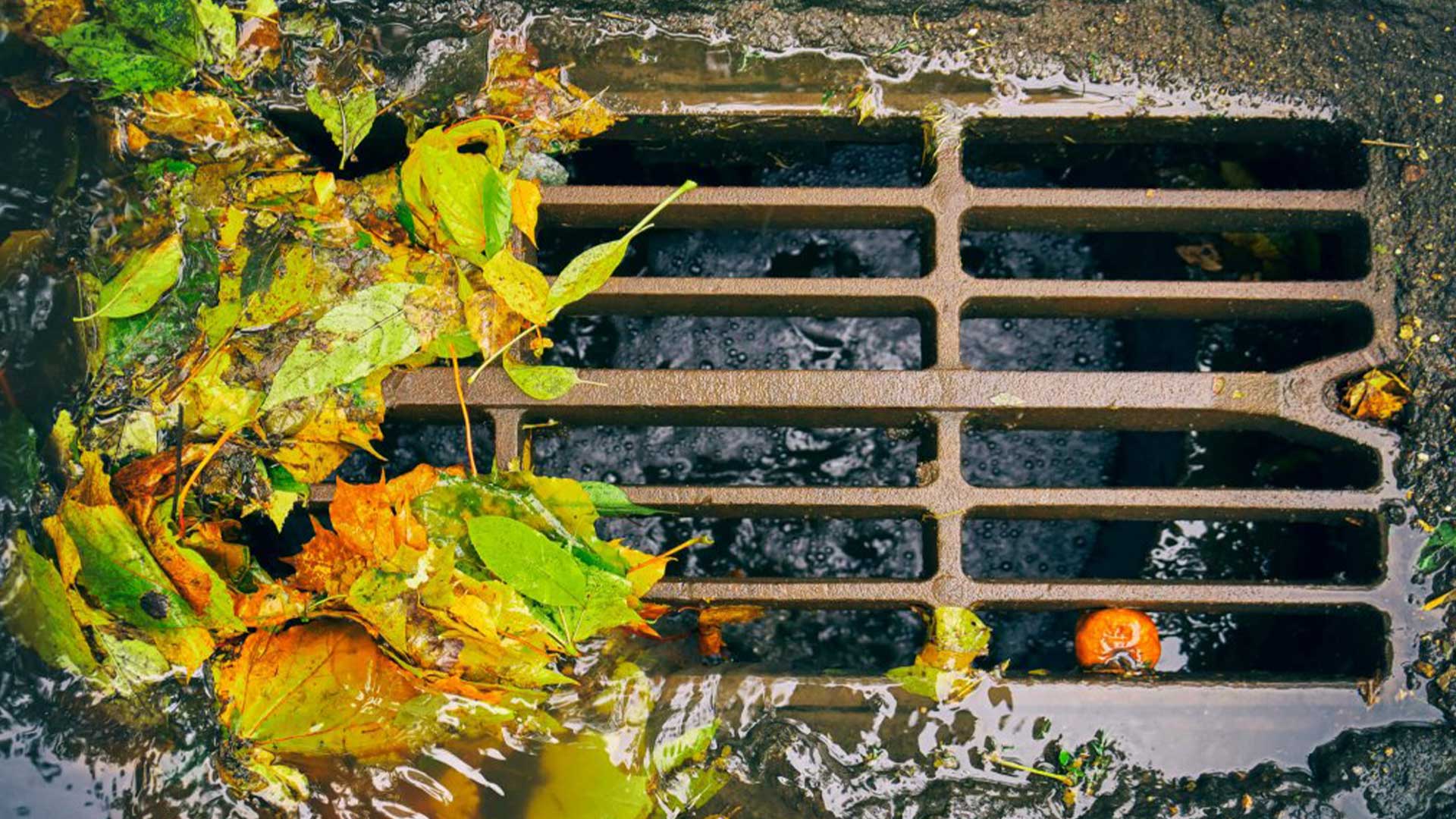 drainage clear